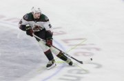 WINNIPEG - ARIZONA
