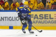 FRIBOURG - TIGERS