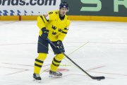 DAENEMARK - SCHWEDEN