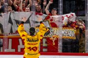 LAUSANNE - TIGERS