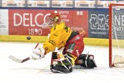 AMBRI - TIGERS