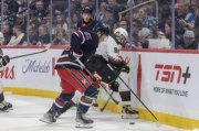 WINNIPEG - ARIZONA