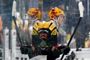 BERN - TIGERS