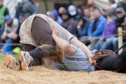 BASELSTAEDTISCHER SCHWINGERTAG