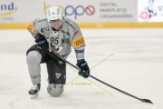 TIGERS - FRIBOURG