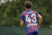 BASEL - WIL