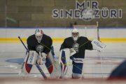TRAINING ZSC