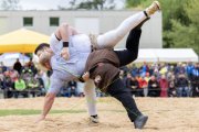 BASELSTAEDTISCHER SCHWINGERTAG
