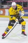 SCB - AJOIE