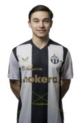 ZUERICH PORTRAIT