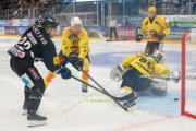 FRIBOURG - BERN