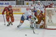 TIGERS - ZSC
