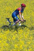 TOUR DE ROMANDIE 2026