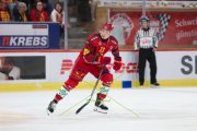 TIGERS - ZSC