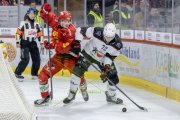 TIGERS - LAUSANNE