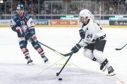 FIALA ALLSTARS - ZSC