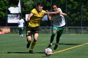 YB - KRIENS