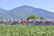 TOUR DE FRANCE 2026
