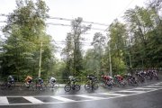 UCI ROAD WC 2024