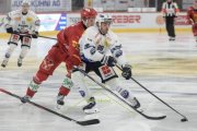 TIGERS - AMBRI