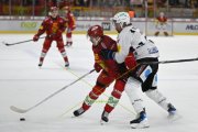 TIGERS - FRIBOURG