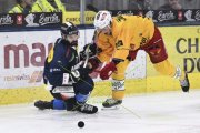 AMBRI - TIGERS