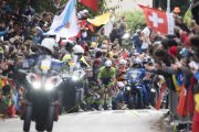 UCI ROAD WC 2024