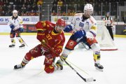 TIGERS - KLOTEN
