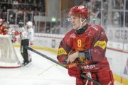 TIGERS - ZSC