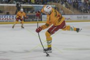 DAVOS - TIGERS