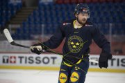 TRAINING SCHWEDEN