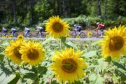 TOUR DE FRANCE 2025