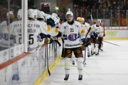 TIGERS - FRIBOURG