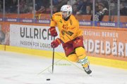 BERN - TIGERS