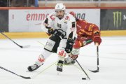 TIGERS - LUGANO