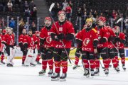 LAUSANNE - TIGERS