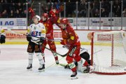TIGERS - FRIBOURG