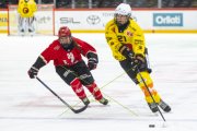 LAUSANNE - SC BERN