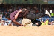 118. NORDWESTSCHWEIZER SCHWINGFEST