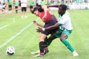 MALCANTONE - ST. GALLEN