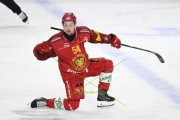 TIGERS - LUGANO