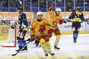AMBRI - TIGERS