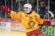 BERN - TIGERS