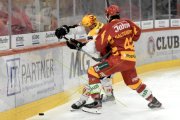 TIGERS - LUGANO