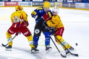 FRIBOURG - TIGERS