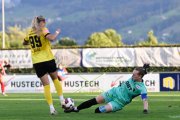 RAPPERSWIL - YB