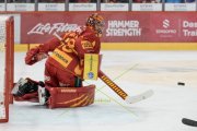 TIGERS - LUGANO