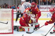 TIGERS - ZSC