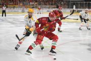 TIGERS - LUGANO