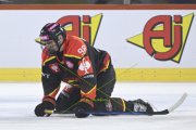 BERN - MOUNTFIELD